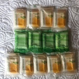 Citrus Mint Face and Body Soap - Lot of 13